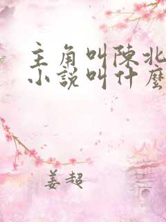 主角叫陈北玄的小说叫什么小说