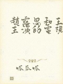 赵露思和王安宇主演的电视剧有哪些