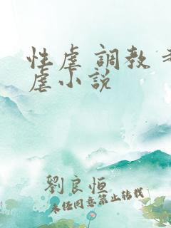 性虐 调教 超虐小说