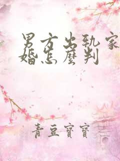 男方出轨家暴离婚怎么判