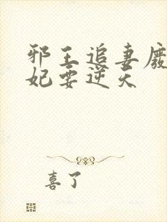 邪王追妻废材狂妃要逆天