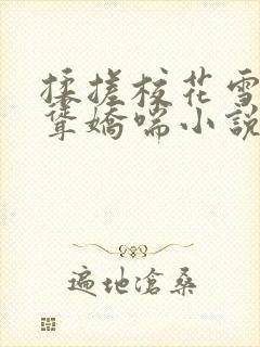 揉搓校花雪乳高耸娇喘小说