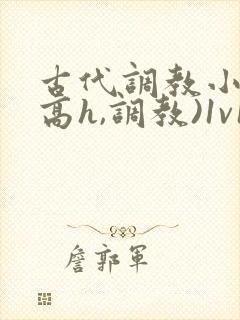 古代调教小说(高h,调教)1v1