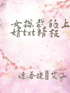 女总裁的上门龙婿txt精校