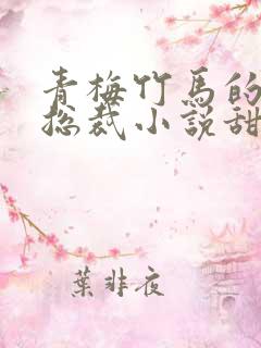 青梅竹马的霸道总裁小说甜宠文