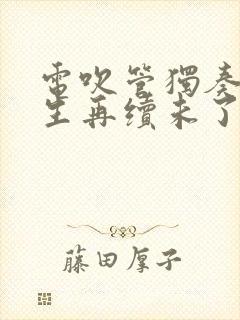 电吹管独奏曲来生再续未了情曲谱