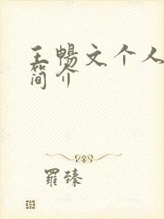 王畅文个人资料简介