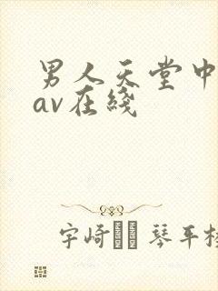 男人天堂中文网av在线