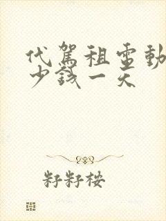 代驾租电动车多少钱一天