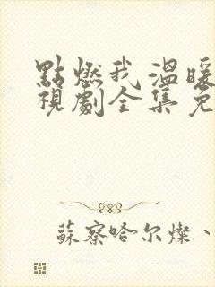 点燃我温暖你电视剧全集免费观看