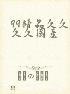 99精品久久久久久国产