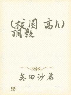 (校园 高h)调教