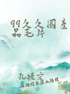 99久久国产精品毛片