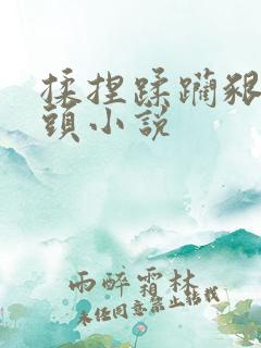 揉捏蹂躏啃咬奶头小说