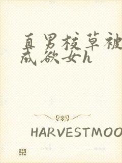 直男校草被调教成欲女h