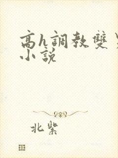 高h调教双男主小说