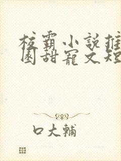 校霸小说推荐校园甜宠文短篇