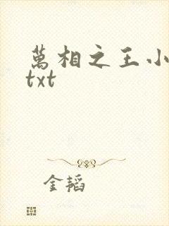 万相之王小说.txt