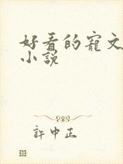 好看的宠文甜文小说