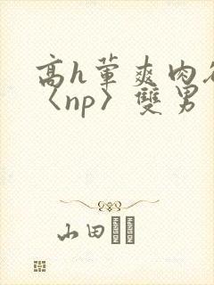 高h荤爽肉欲文〈np〉双男