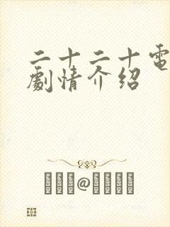 二十二十电视剧剧情介绍