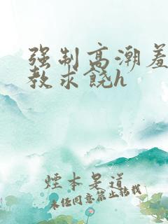 强制高潮羞辱调教求饶h