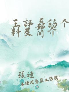 王译磊的个人资料及简介