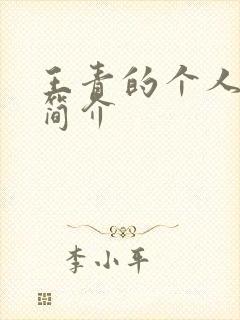 王青的个人资料简介