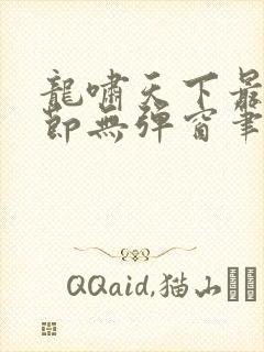 龙啸天下最新章节无弹窗笔趣阁