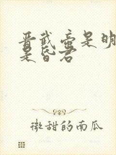 晋武帝是明君还是昏君