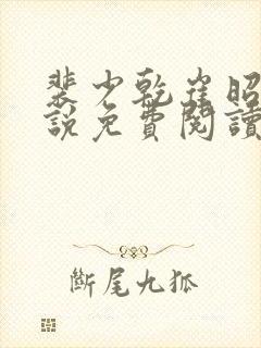 裴少乾崔昭懿小说免费阅读最新章节