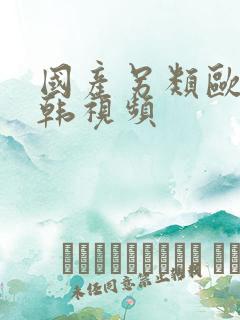 国产另类欧美日韩视频