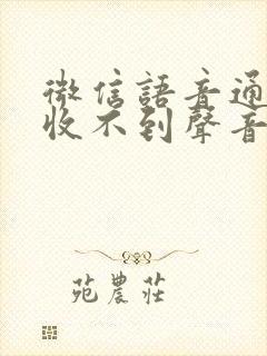 微信语音通话接收不到声音