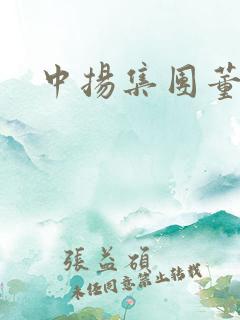 中扬集团董事长