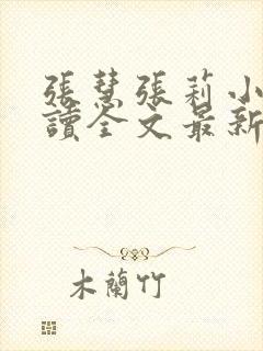 张慧张莉小说阅读全文最新章节