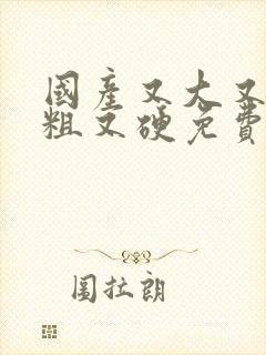 国产又大又长又粗又硬免费