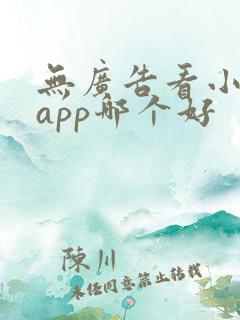 无广告看小说的app哪个好