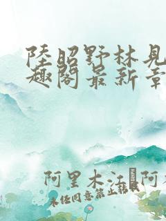 陆昭野林见疏笔趣阁最新章节更新