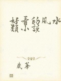 好看的风水相师类小说