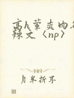 高h荤爽肉欲文辣文〈np〉