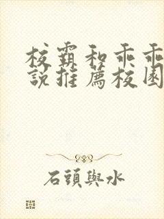 校霸和乖乖女小说推荐校园甜宠文