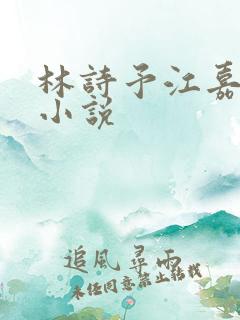 林诗予江嘉珩的小说