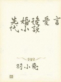 先婚后爱言情现代小说