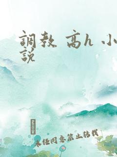调教 高h 小说
