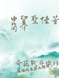 中贸圣佳董事长简介