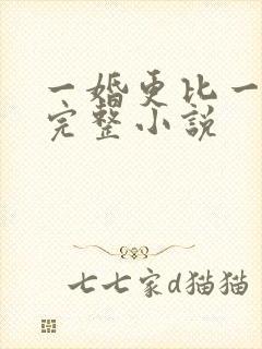 一婚更比一婚高完整小说