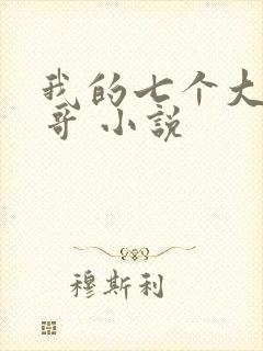 我的七个大佬哥哥 小说