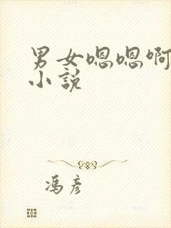 男女嗯嗯啊啊啊小说