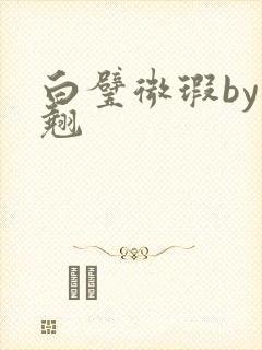 白璧微瑕by连翘