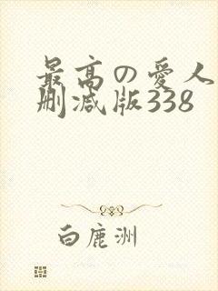 最高の爱人诏未删减版338